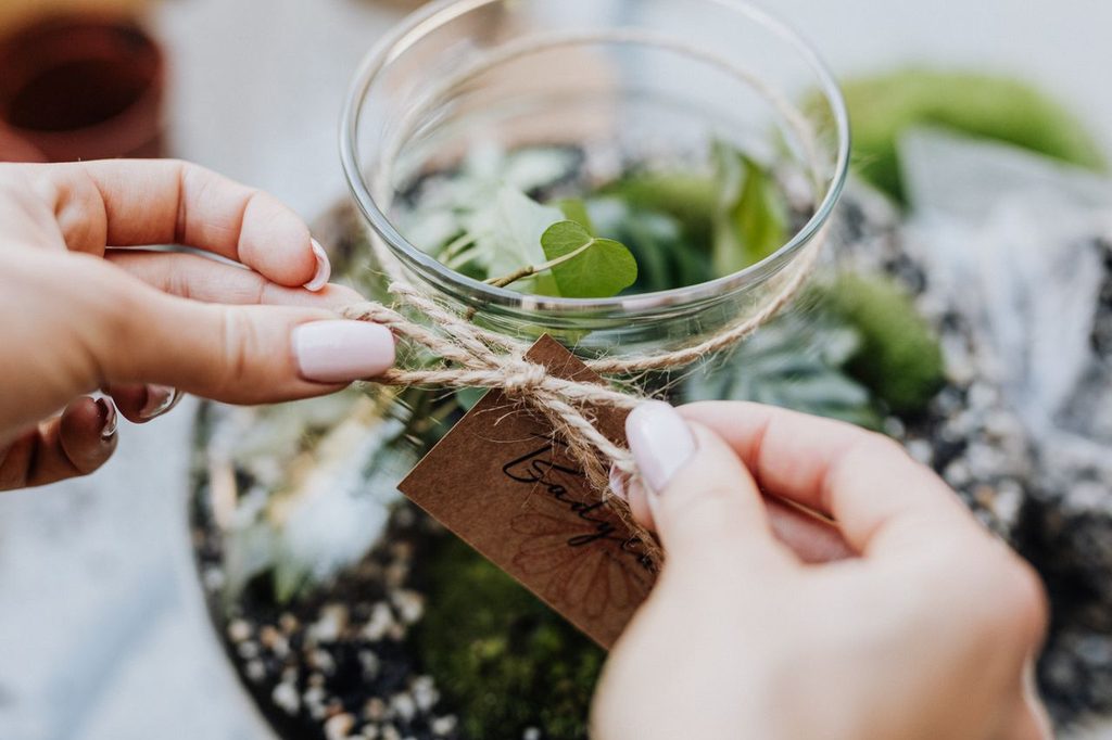 Giving a Plant as a Gift: Meanings, Etiquette & 10 Best Plants 6 Potted plant gift presented with care instructions