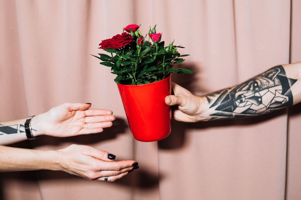 Giving a plant as a gift to a friend