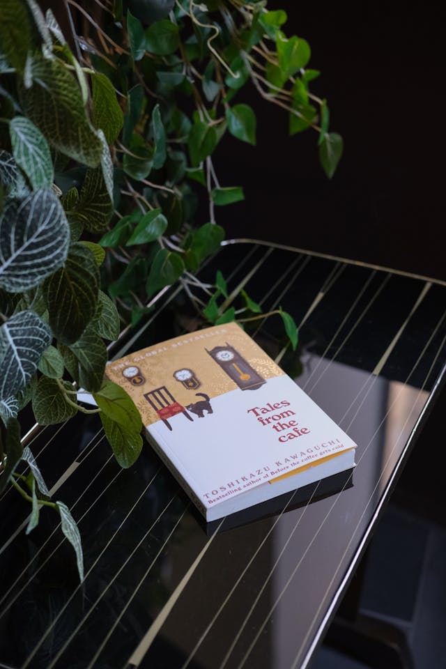 pexels esra afsar 123882149 32875308